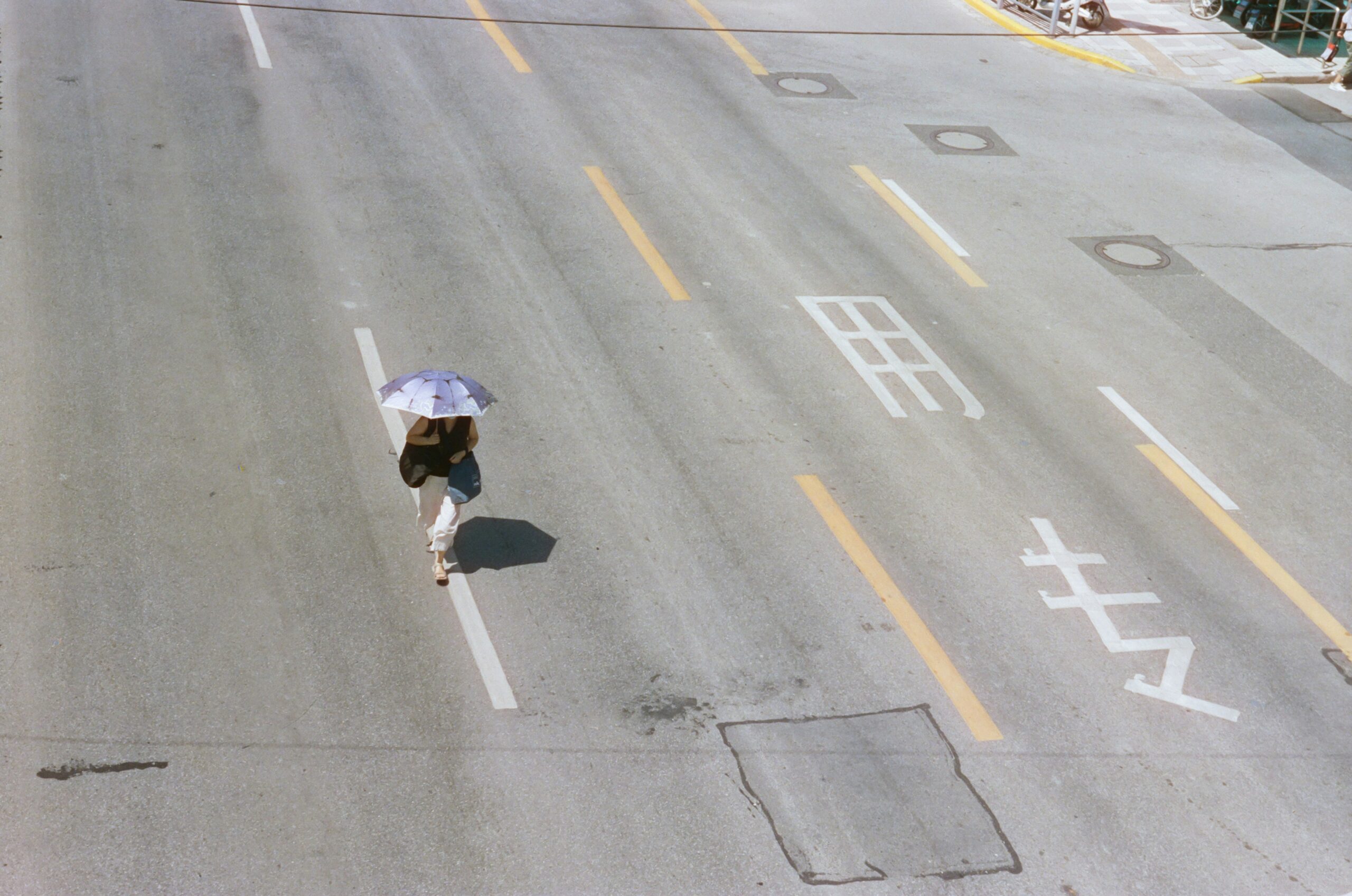 A black labrador walking happily along a path while people cheer at her retirement parade
