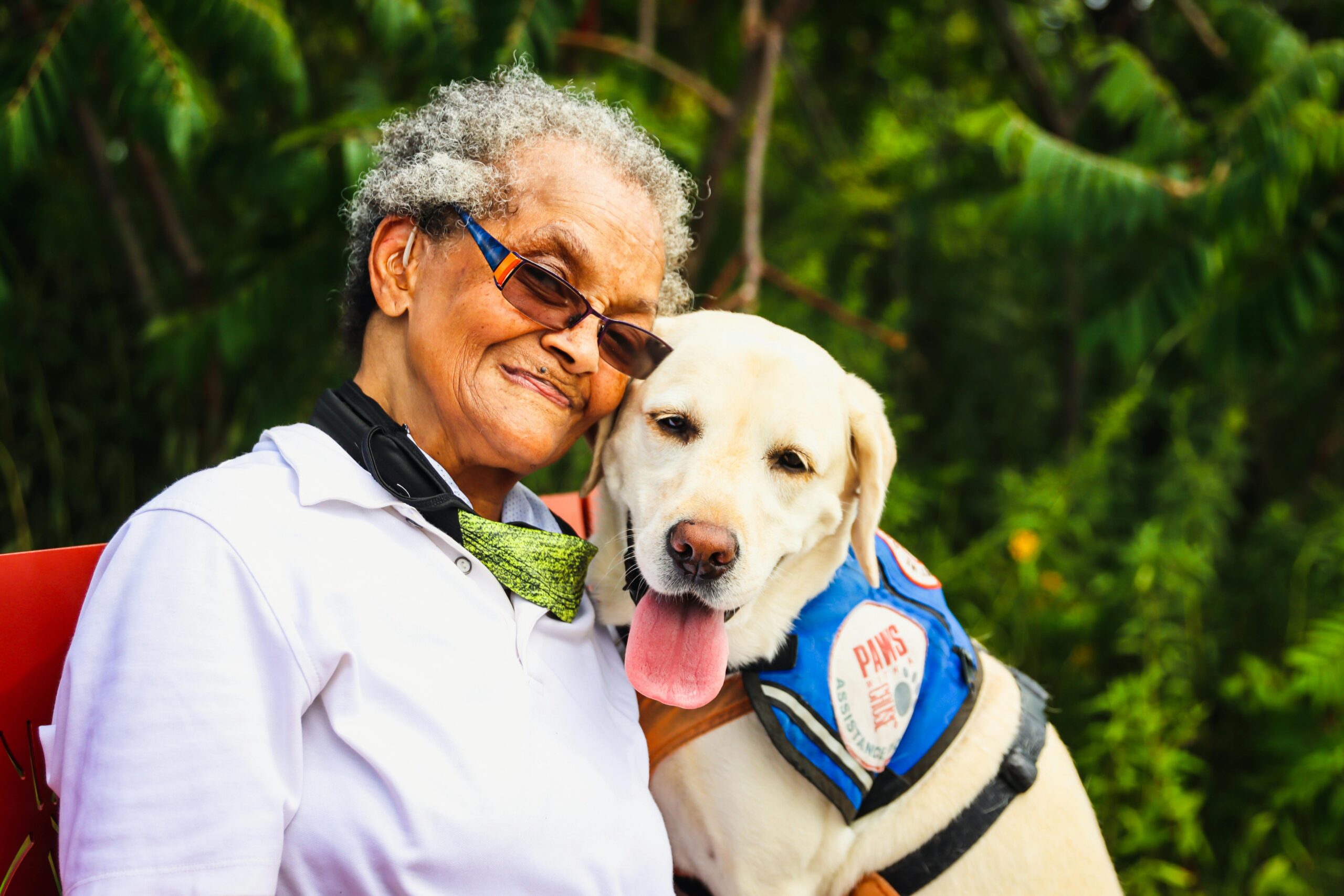 A guide dog skillfully guiding its handler around obstacles on a city sidewalk