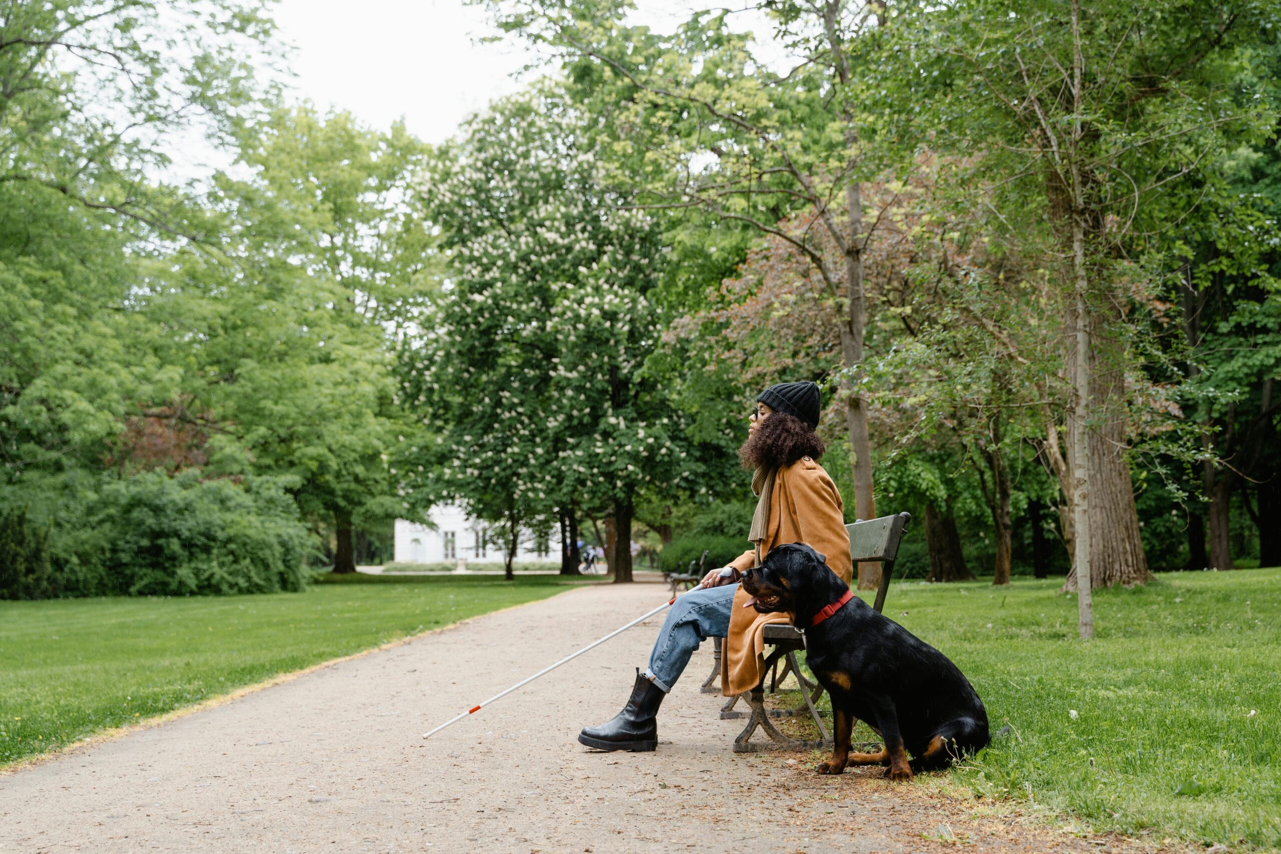 A handler looking stressed next to a confused guide dog
