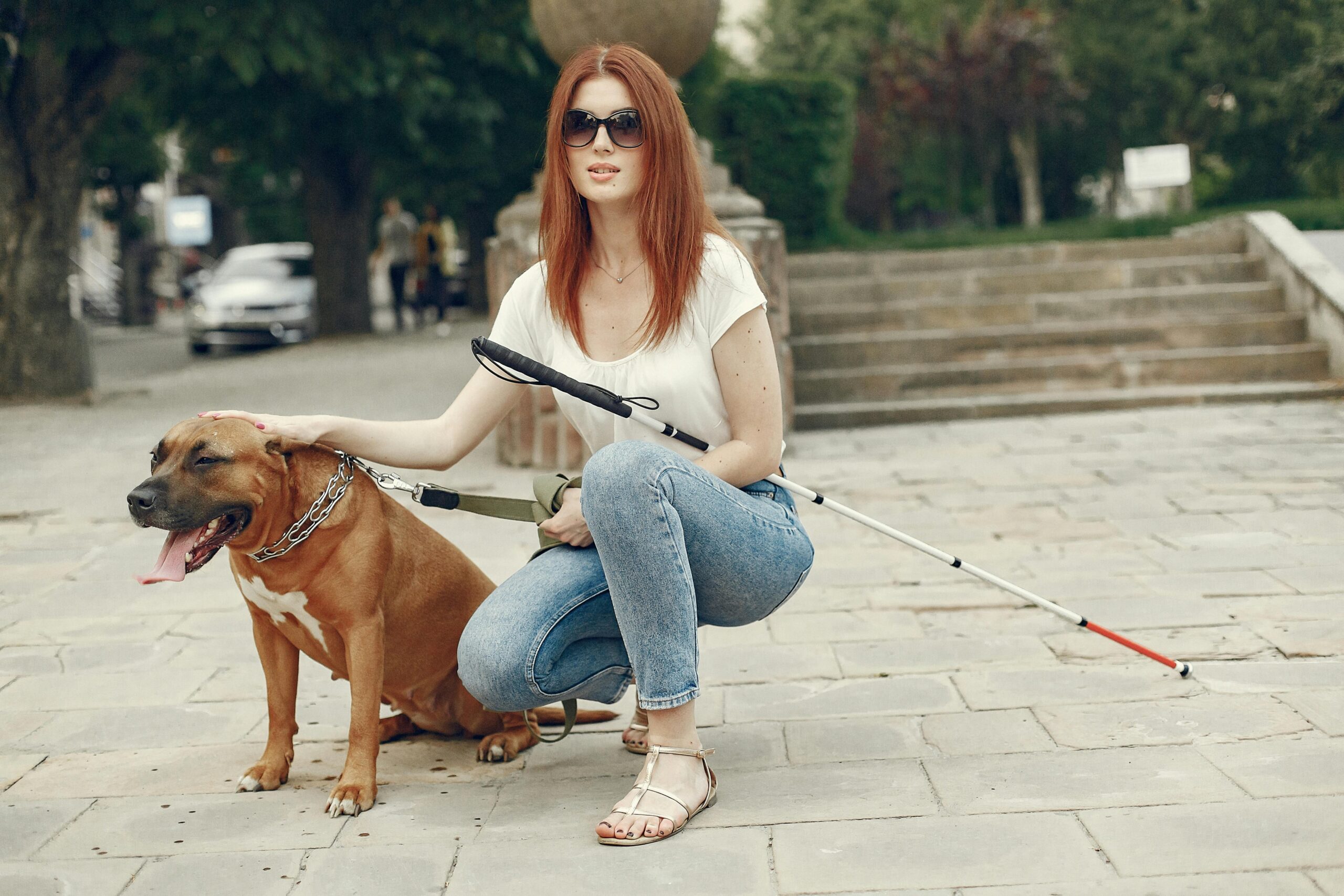 Blind woman confidently crossing street with her trained guide dog