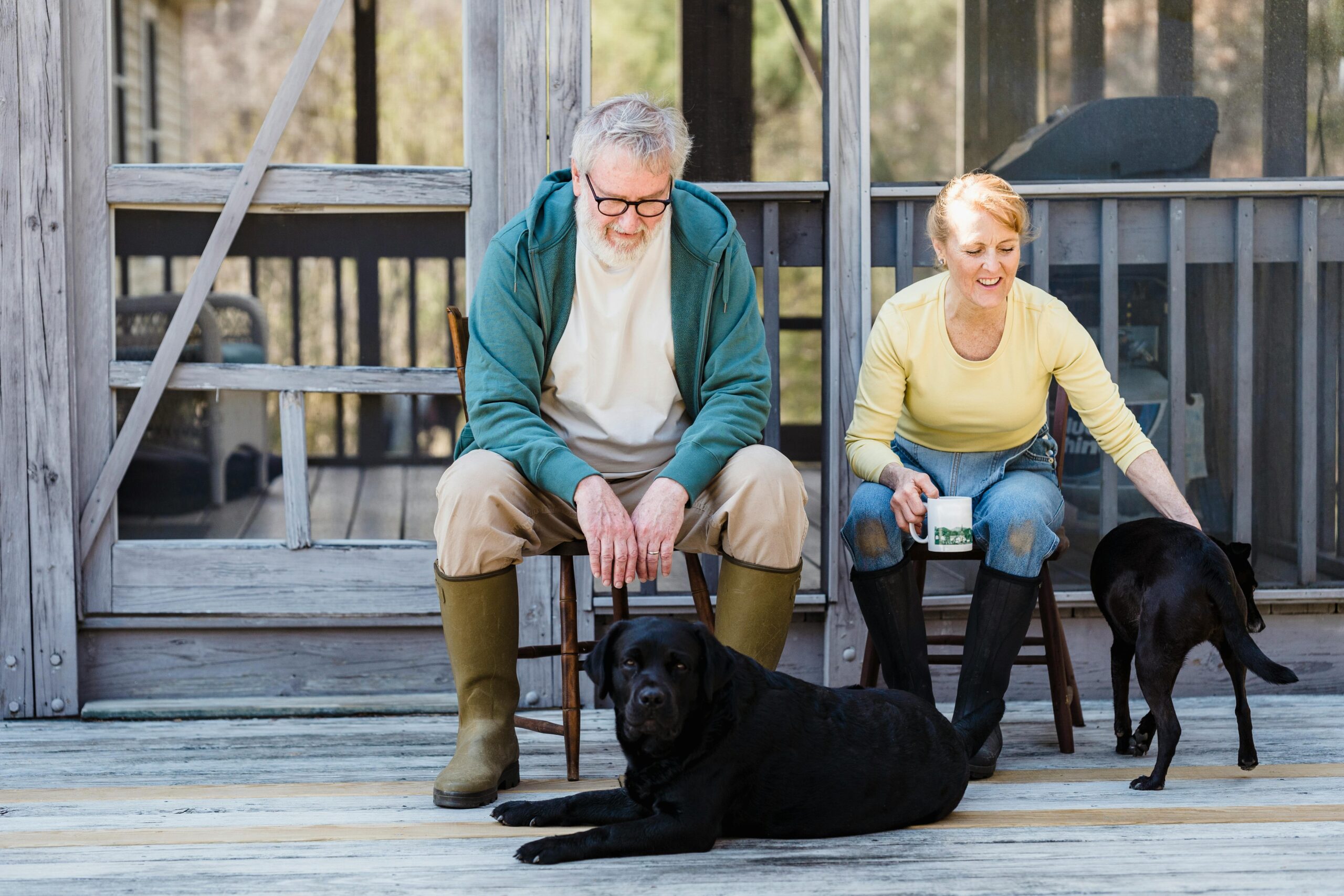 Finding a New Role for Retired Dogs
