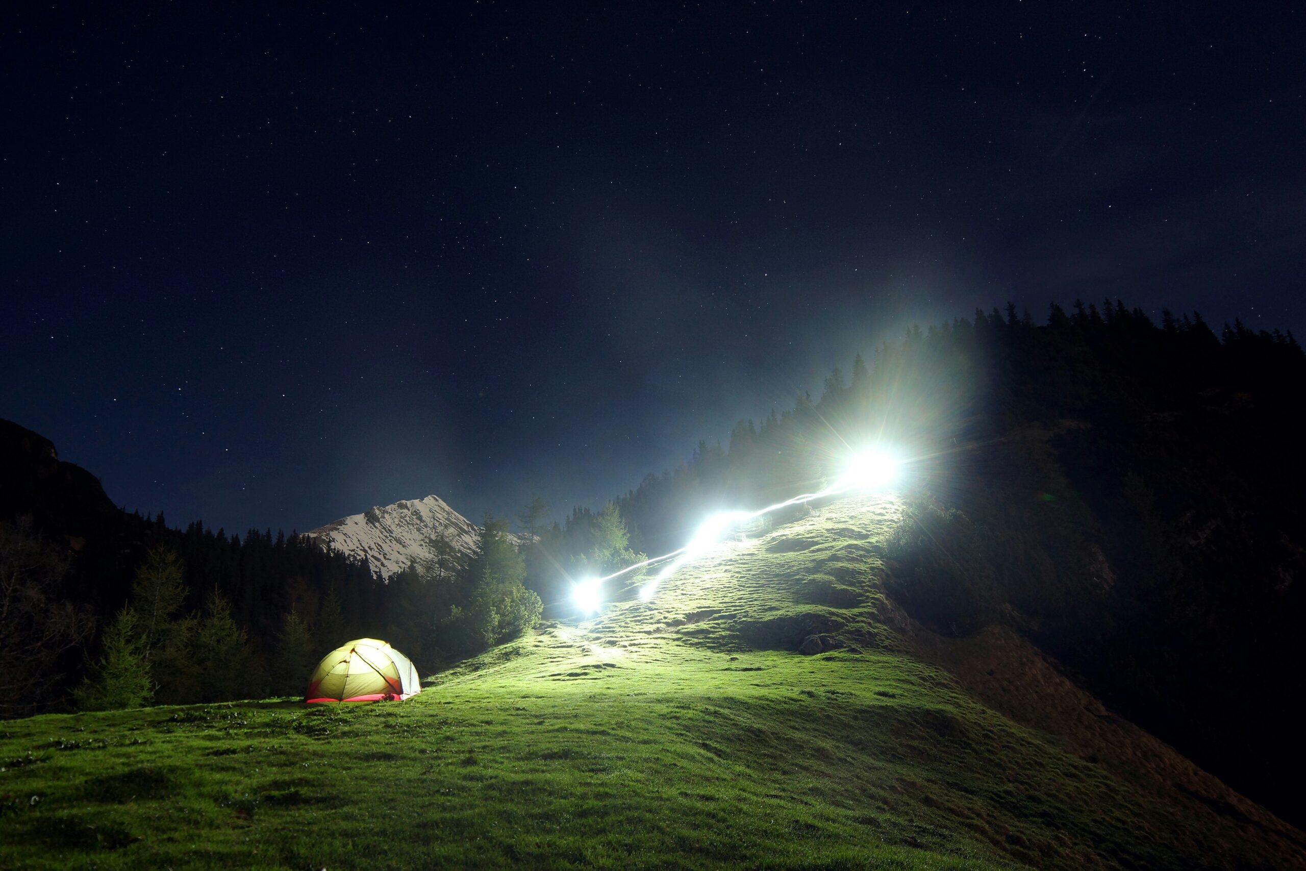 guide dog walking at night
