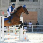 Obstacle Avoidance Training