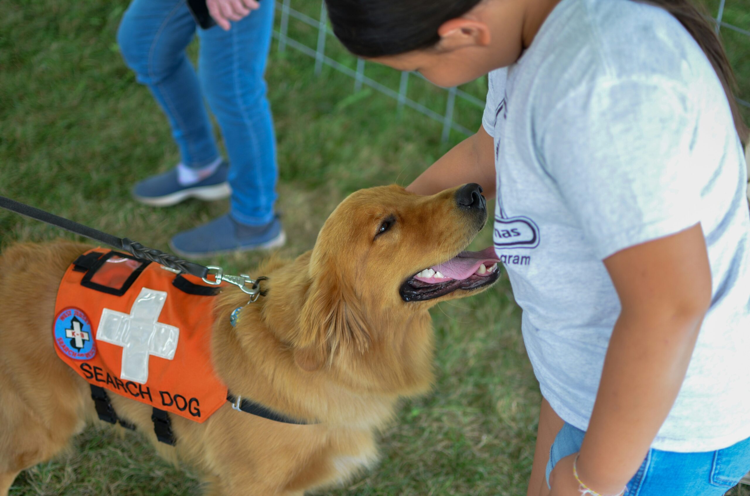 A proud owner walking alongside their well-trained blind dog