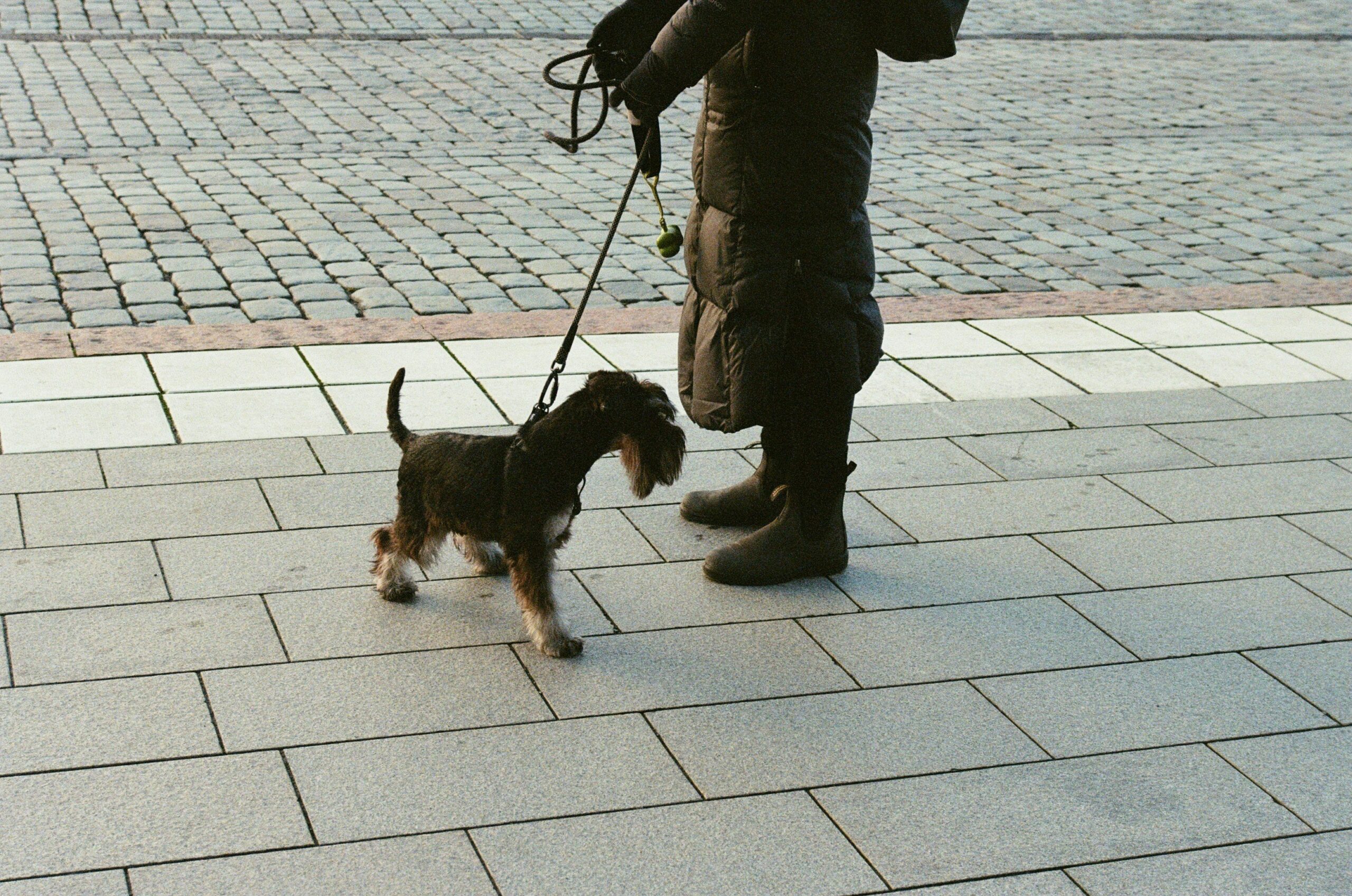 A smiling handler hugging their guide dog after completing a successful training session.