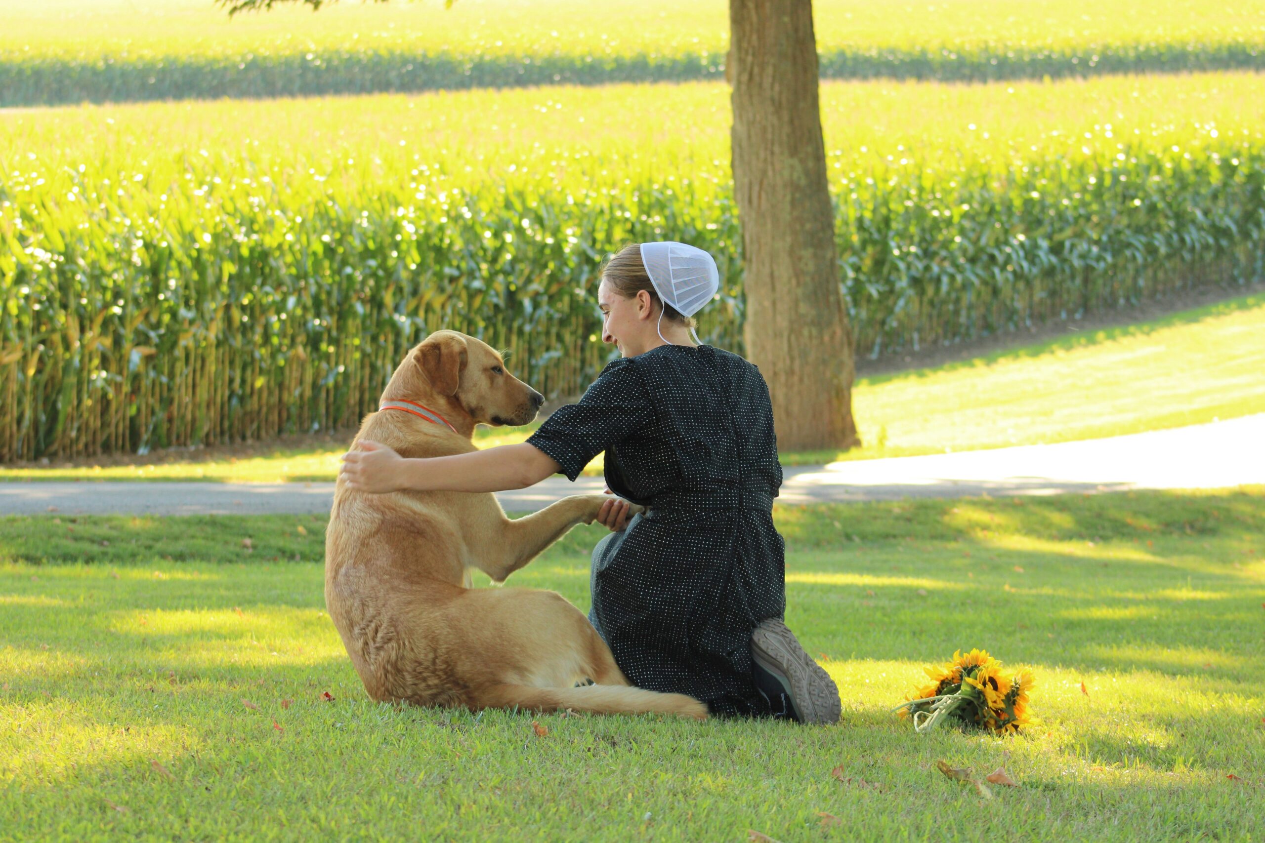 Handler walking confidently with her guide dog through a park