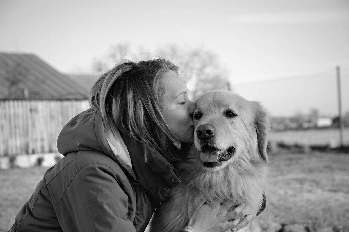 Support Dog Retirement Planning: The Ultimate Guide to Saying Goodbye (and Hello) with Love