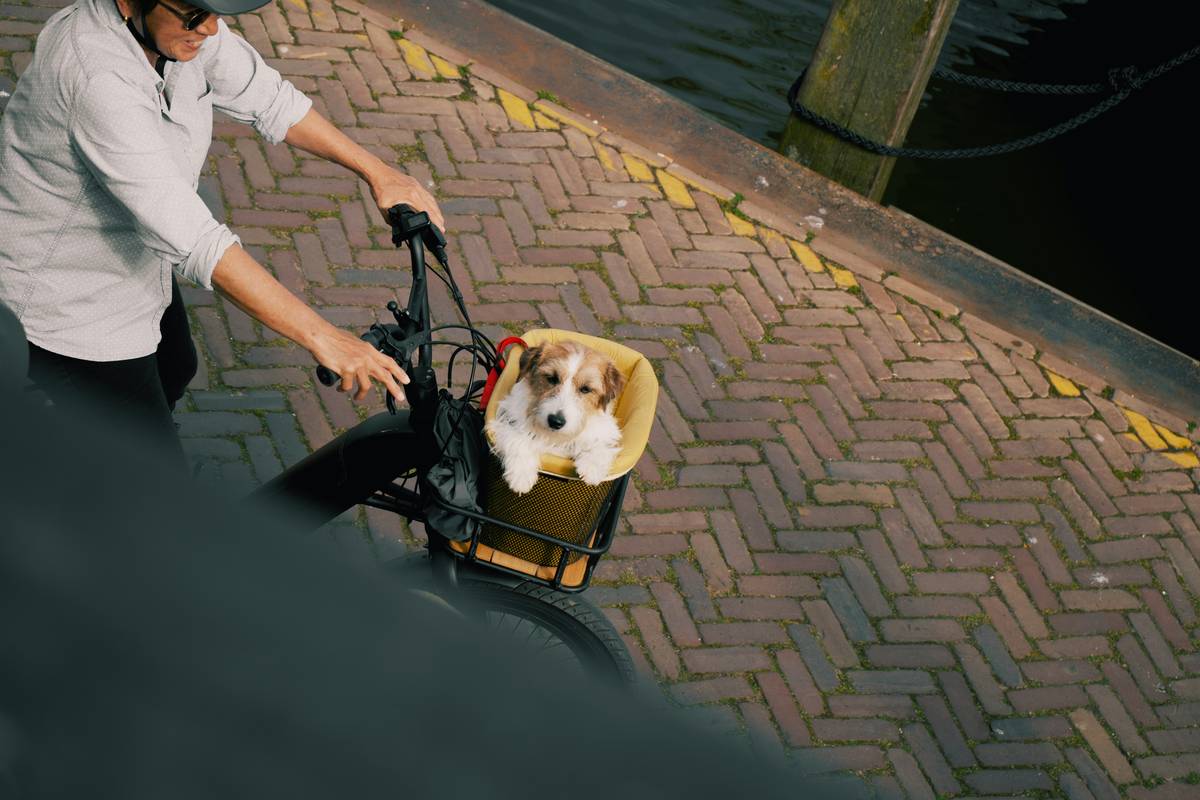 7 Creative Support Dog Team Bonding Ideas That Strengthen Your Partnership