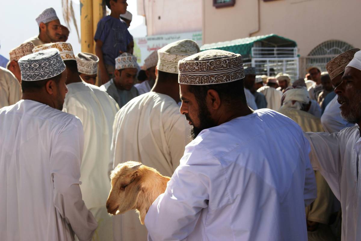 A handler looking frustrated while their guide dog sits nearby, showing signs of confusion.