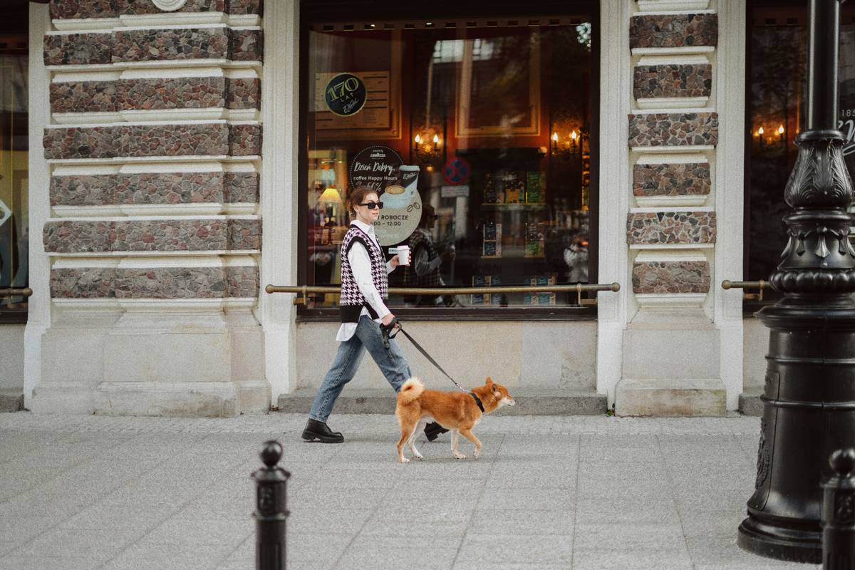 A happy guide dog sitting beside its handler outdoors