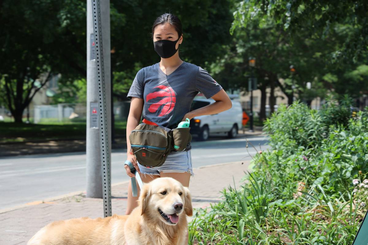 Mastering Guide Dog Path Training: Your Step-by-Step Blueprint