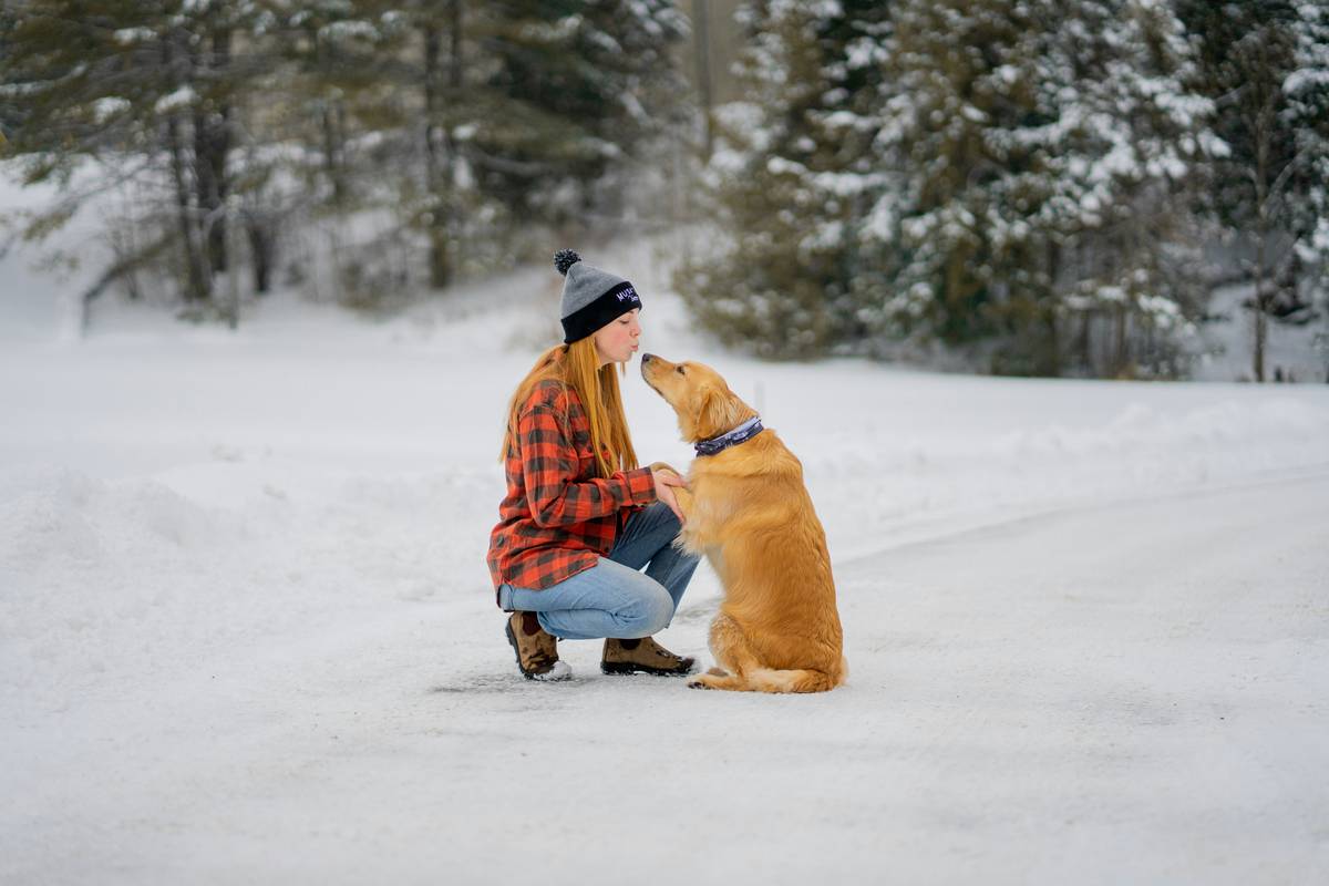 Support Dog Bonding Ideas: How to Strengthen Your Connection with Guide Dogs