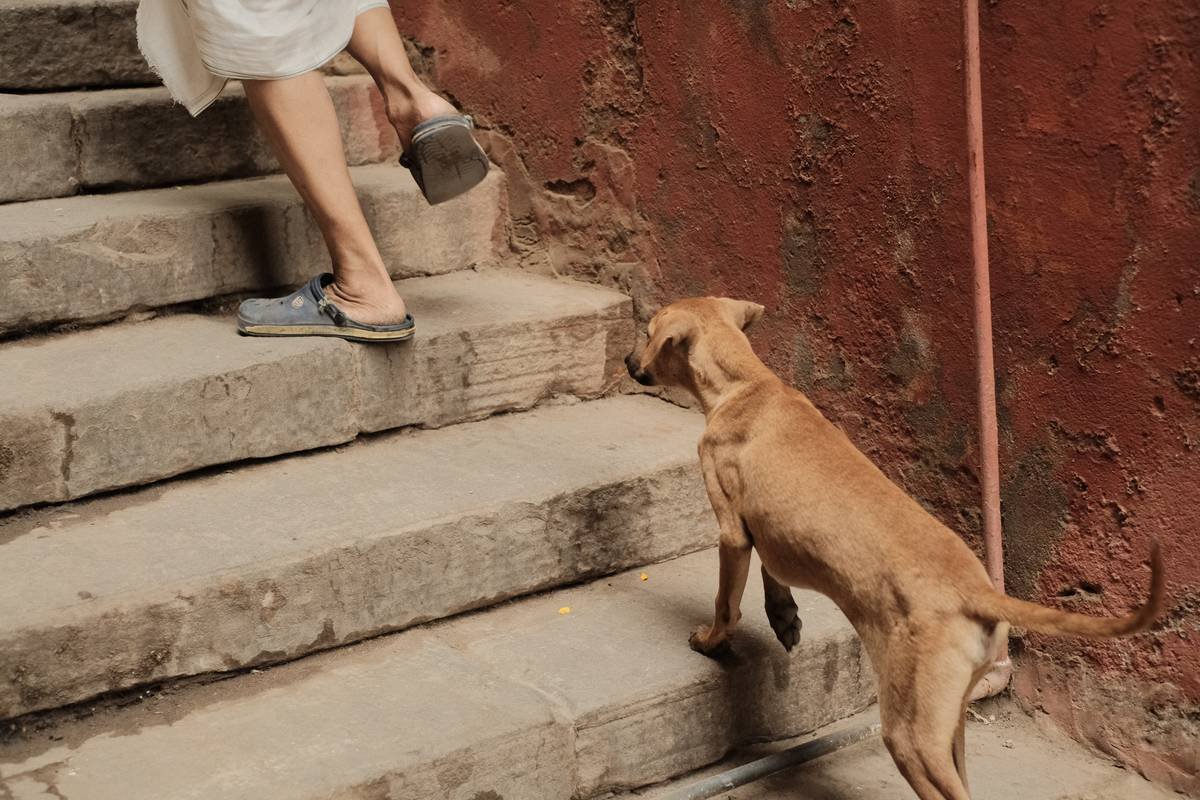 Smiling woman hugging her guide dog while standing outside a busy city street.
