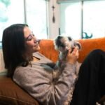 Guide Dog Post-Service Planning: How to Prepare for Life After Retirement