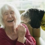 Guide Dog Retirement Home Care: Navigating the Transition with Grace