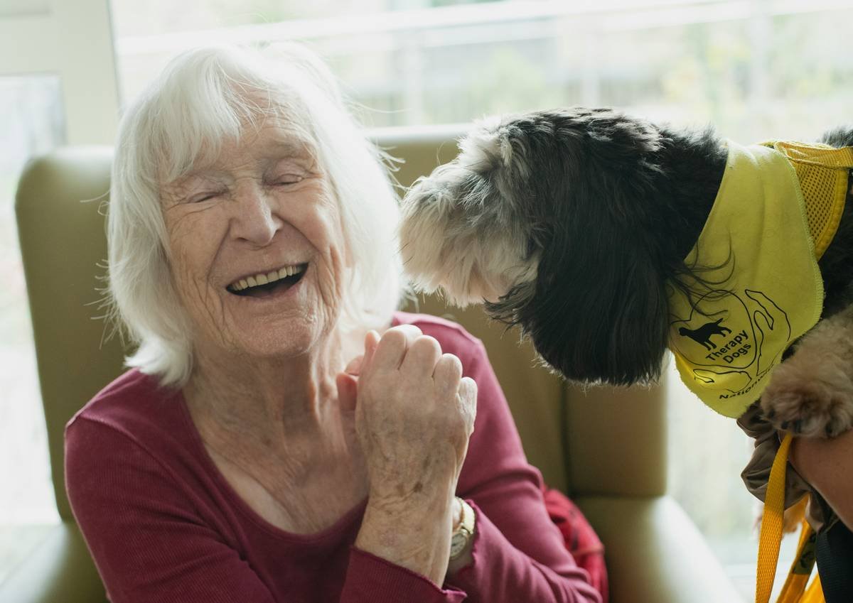 Guide Dog Retirement Home Care: Navigating the Transition with Grace