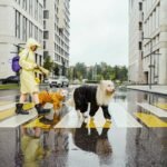 Guide Dog Urban Skills: Training Your Canine Companion for City Life