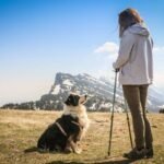 Support Dog Retirement Preparation: A Compassionate Guide for Handlers & Trainers