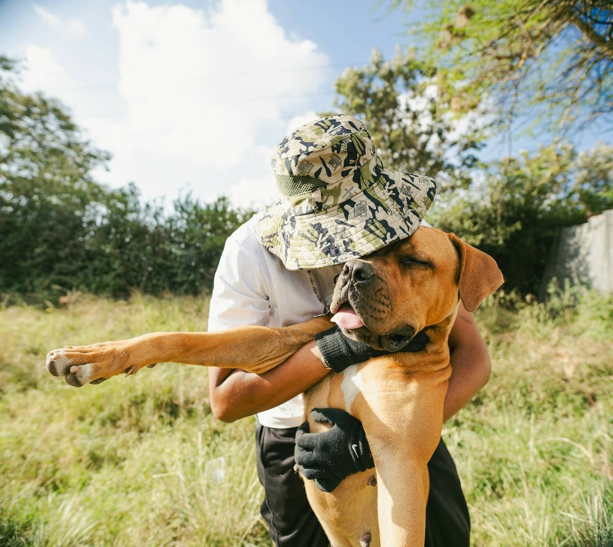 Infographic showing 30% of service dog placements fail due to poor team bonding, with icons depicting trust, local environment exposure, and mutual communication