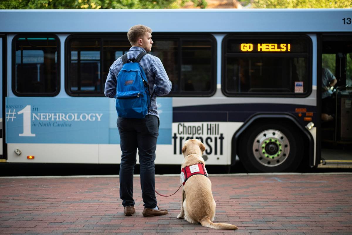 Infographic showing guide dog training success rates: 40-60% graduation from accredited programs vs. under 15% for owner-trained dogs without structured curricula