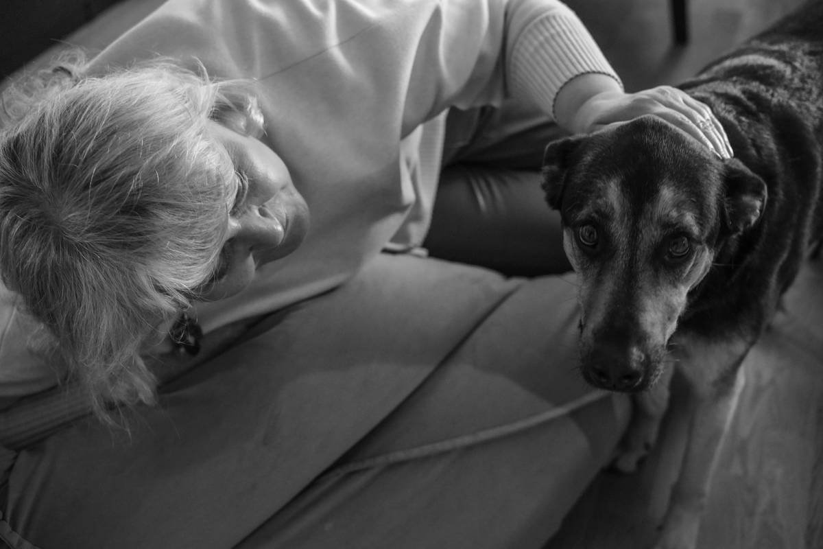 Infographic showing stages of guide dog retirement: pre-retirement assessment, transition phase, long-term wellness plan with vet check frequency, activity levels, and emotional support strategies
