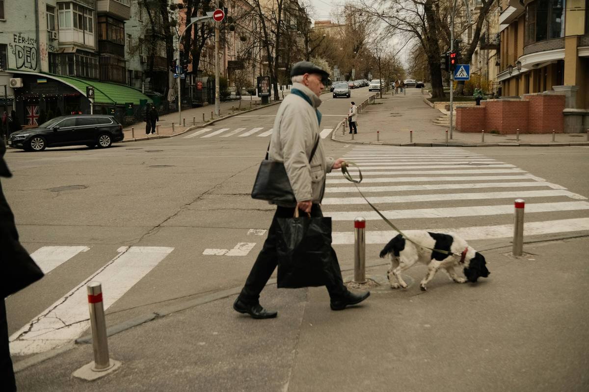 Mastering Guide Dog Pathfinding Skills: How Trained Dogs Navigate the World for People with Vision Loss