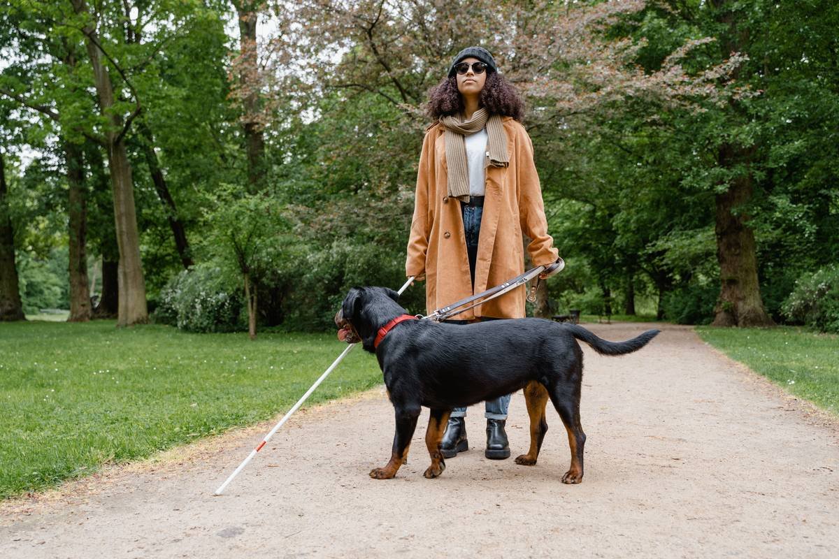 10 Life-Changing Benefits of Guide Dogs You Never Knew Existed