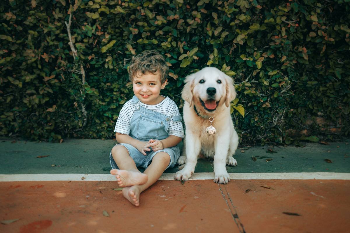 Autism Service Dog Training Guide: Expert-Backed Steps for Lifelong Support