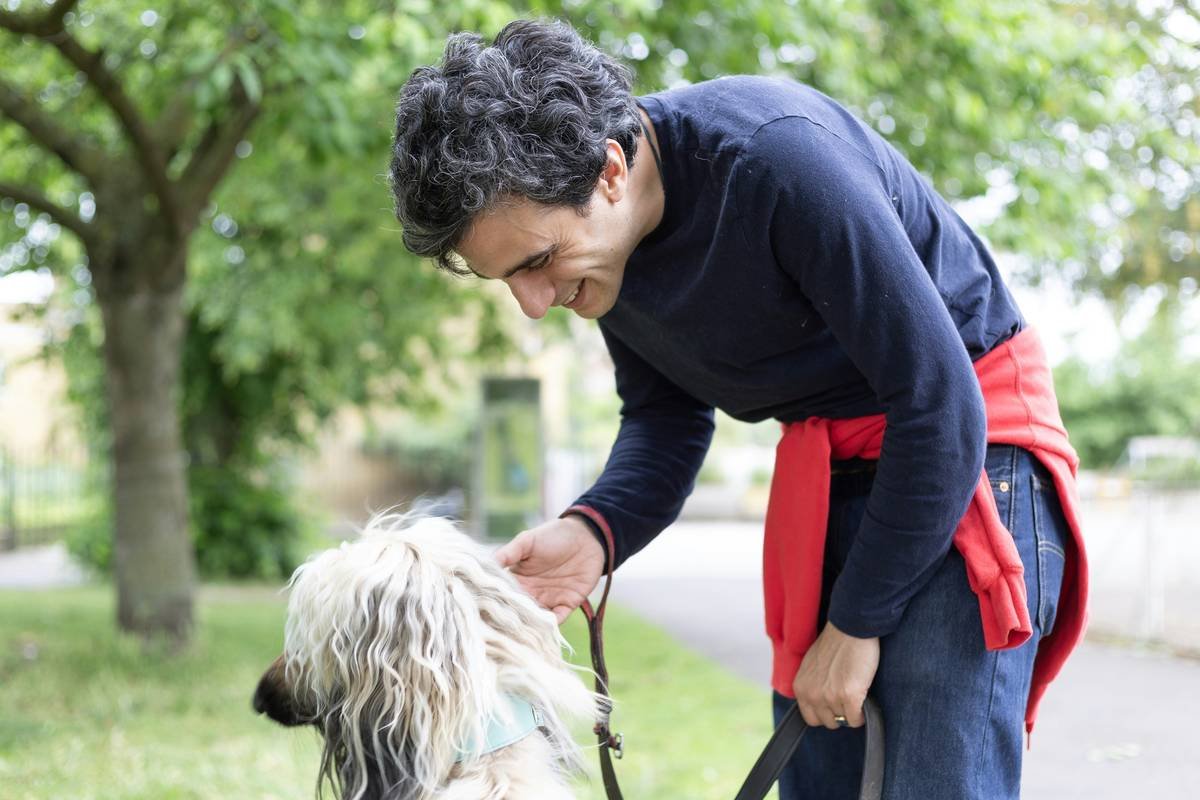 Psychiatric Service Dog Training Guide: Expert Steps to Train a Life-Changing Companion