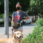 How to Choose the Right Training Organization for Service Dogs in 2024