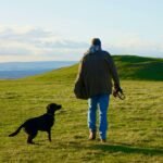 How to Train Service Dog: 7 Proven Tips to Avoid Costly Mistakes