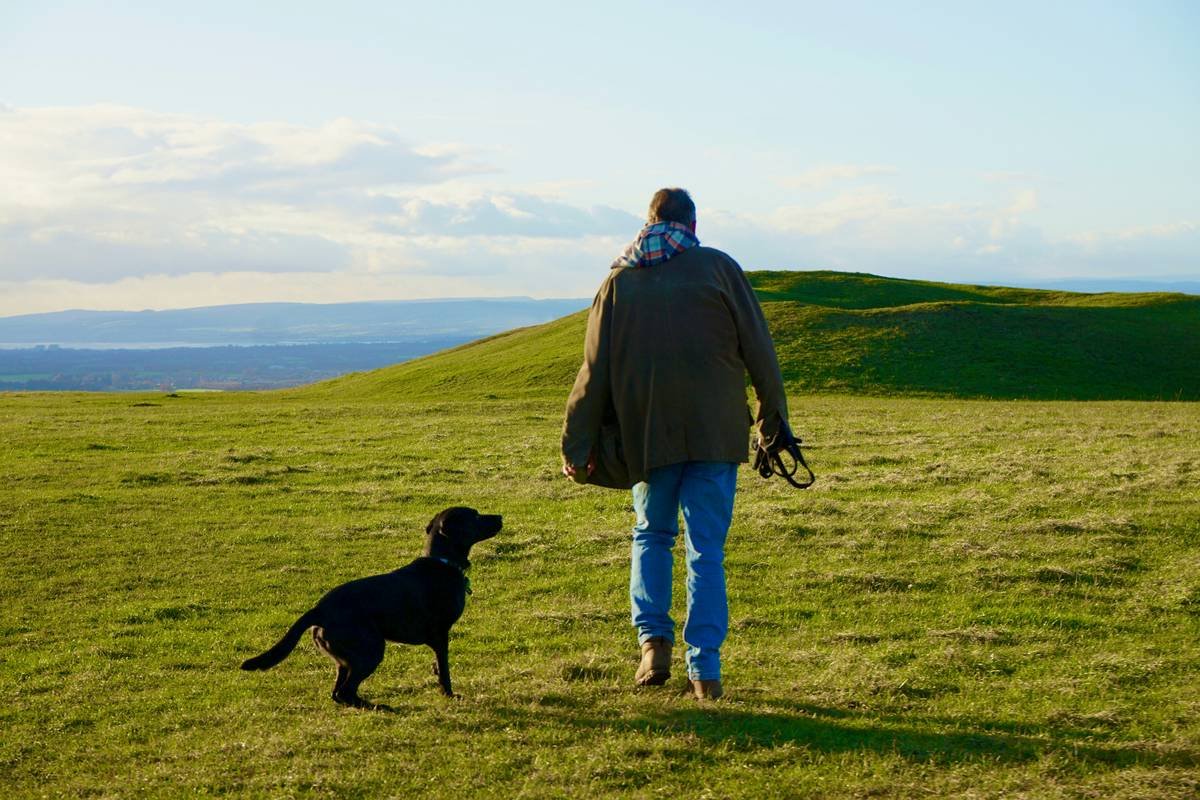 How to Train Service Dog: 7 Proven Tips to Avoid Costly Mistakes